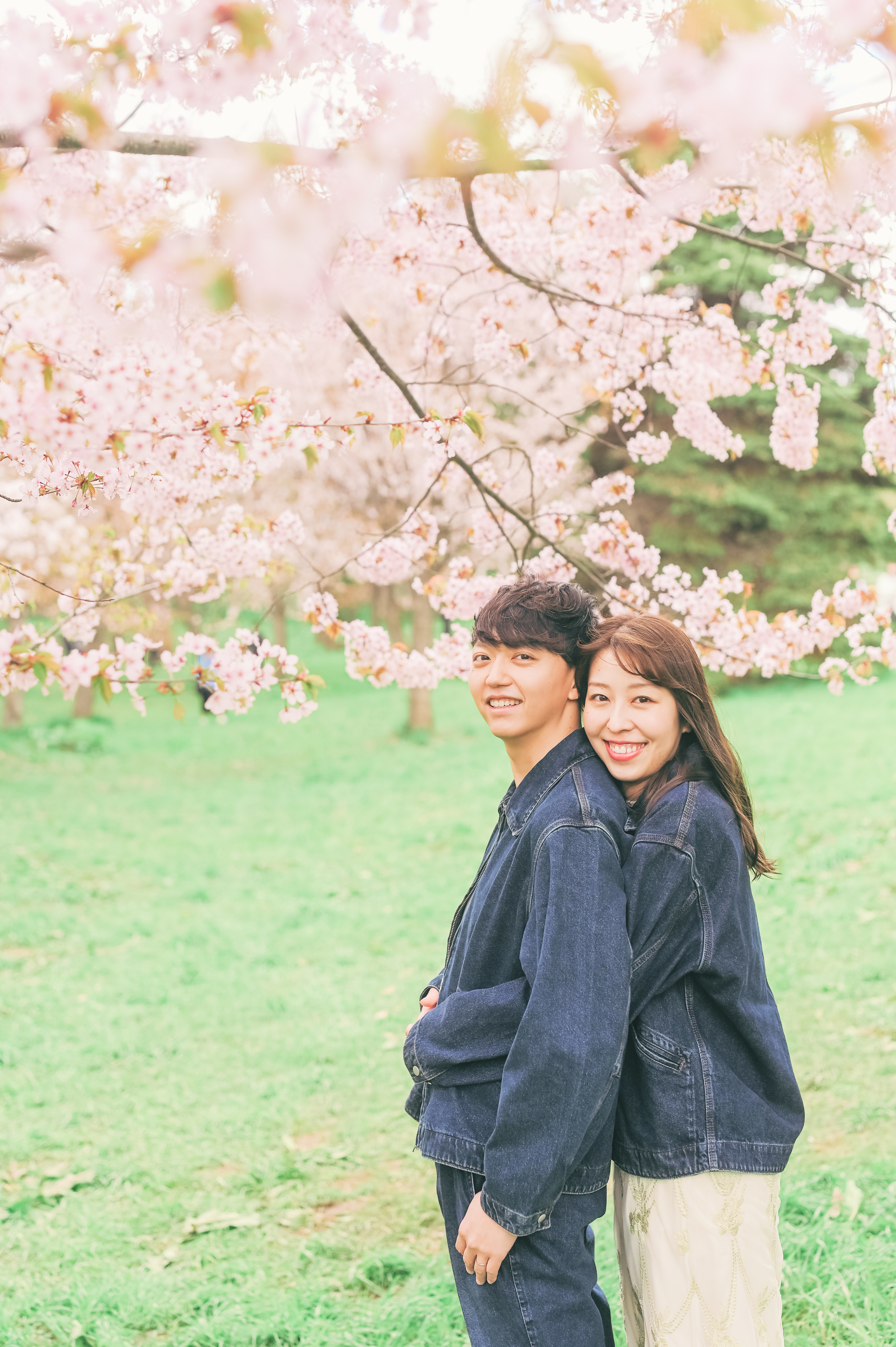 桜の木の下で微笑む男女